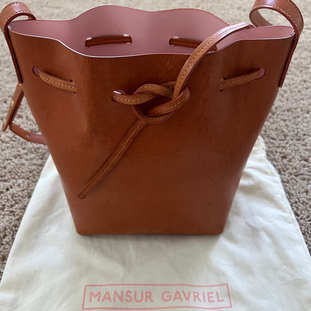 Mansur Gavriel mini bucket bag